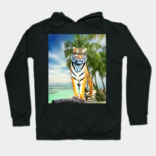 Big Cat Tiger Wearing Sunglasses On Beach Hoodie